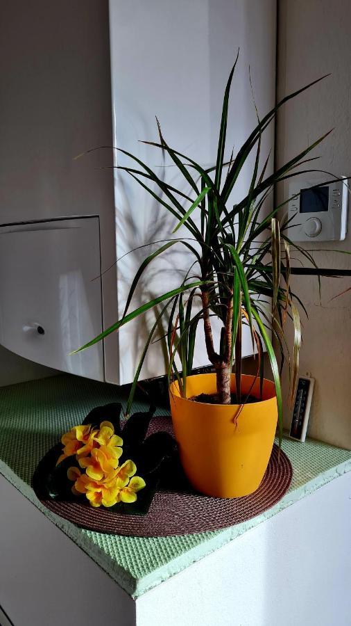 Apartement *Harzblick* 노르드하우젠 외부 사진